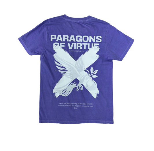 Paragons - Always protected